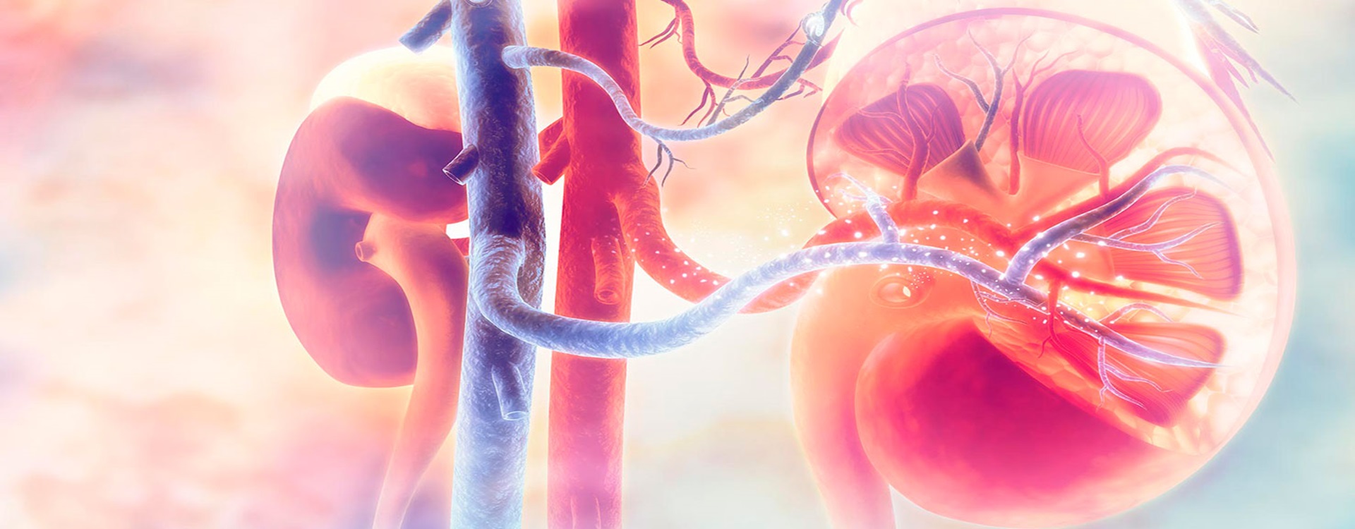 Urological Association of Kerala